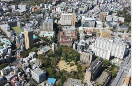 早稲田大学